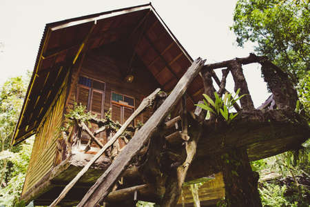 A tropical tree house in the jungle.の写真素材
