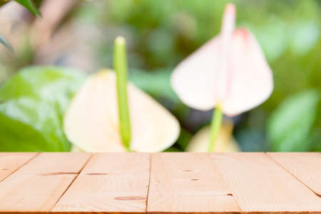 Empty wooden table on defocuced. Defocused of beautiful flower in the botanic garden with blur...
