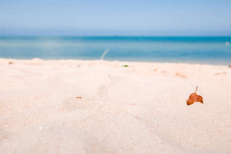 Sea sand and blue sky in summer.の写真素材