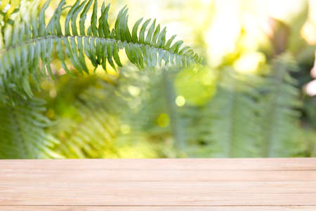 Empty of wood table top on blur of fresh green nature abstract from garden or forrest with sunlight .- Using for Mock up template for display of your design,Banner for advertise of product.の写真素材