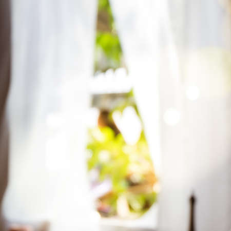 defocused curtain window with view green from tree garden background.with sunlight. Using for Mock...