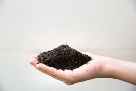 A hand of a farmer carrying soil for planting. Ecology concept. White copy space and background concept. growth concept ideasの写真素材