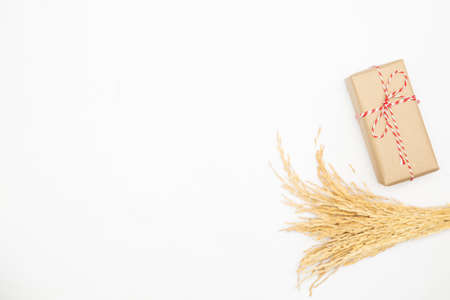 Gift box in vintage brown color on isolated white background. Empty space for text ot product...