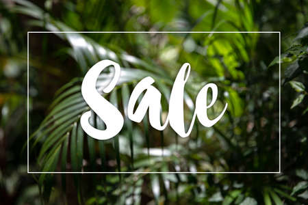 Nature summer forest plant with Sale text concept. Tropical green palm leaves on dark background,  jungle leaf close upの写真素材