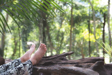 Bare feet of a young woman on a tree log in the tropical forest. Feeling relax and fresh in the gargenの写真素材
