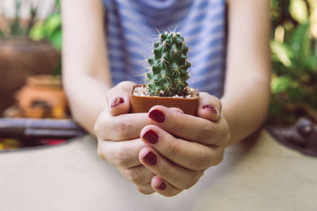 Close up of female hands holding a small cactus on the vintage canvas.の写真素材