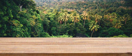 Real wood table top with blur on green palm leaves or tree in tropical forest - Using for Mock up template for display of your design,Banner for advertise of product.の写真素材