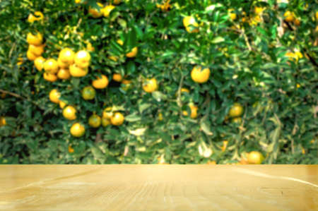 Wood table top with blur of orange garden in the morning. Using for Mock up template for display of your design or design key visual layout. Banner for advertise of product.の写真素材