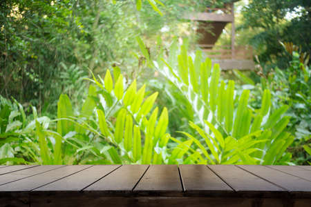Brown wood table top (Bar) with blur on green palm leaves or tree in tropical forest with bokeh light at background - Using for Mock up template for display of your design.の写真素材