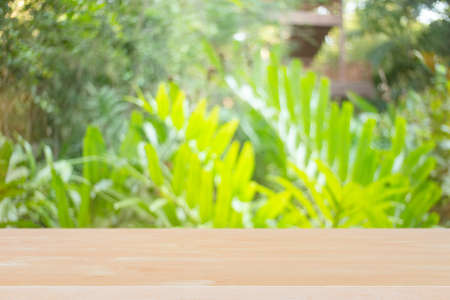 Pine wood table top (Bar) with blur on green palm leaves or tree in tropical forest with bokeh light at background - Using for Mock up template for display of your design.の写真素材