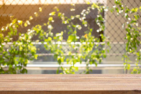 Wood table top (Bar) with blur on green leaves or tree in tropical forest with bokeh light at background - Using for Mock up template for display of your design.の写真素材