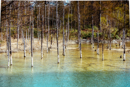 Vibrant Blue Pond in Autumn Forest, Hokkaido, Japan - Sky & Cloud Reflectionの写真素材