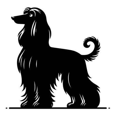 Poodle dog isolated on a white background. Vector illustration for your designのイラスト素材