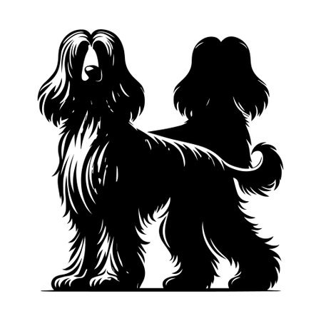 Vector image of a dog breed, black and white silhouette on a white backgroundのイラスト素材