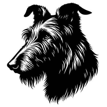 Vector image of a dog breed Irish Wolfhound in black and whiteのイラスト素材