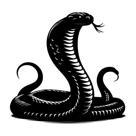 Vector image of a cobra in black on a white background.のイラスト素材
