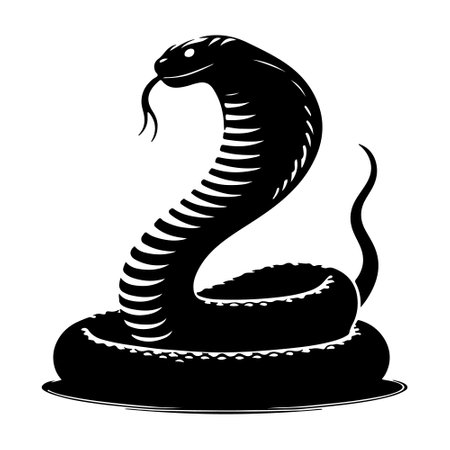 Vector image of a cobra snake isolated on a white background.のイラスト素材