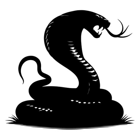 Black silhouette of a cobra isolated on white background. Vector illustrationのイラスト素材