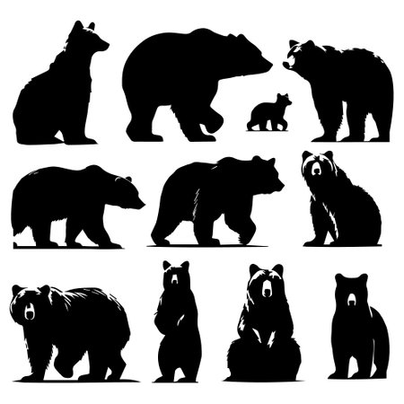 Set of bear silhouettes isolated on white background. Vector illustration.のイラスト素材