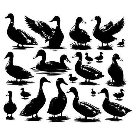 Set of silhouettes of wild ducks and geese. Vector illustrationのイラスト素材