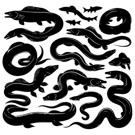 Vector set of black silhouettes of eel on white background.のイラスト素材