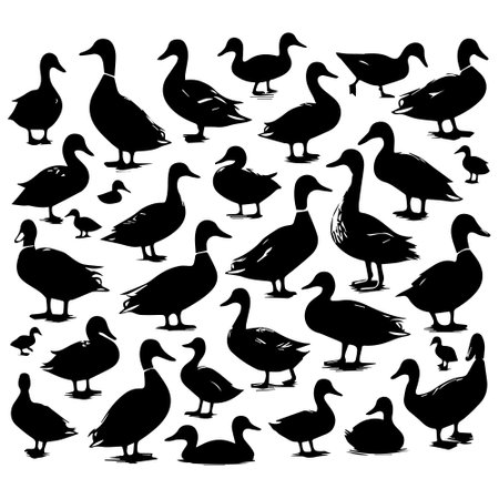 ducks silhouettes on white background, vector art illustration eps10のイラスト素材