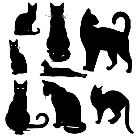 set of silhouettes of cats on a white background, vector illustrationのイラスト素材