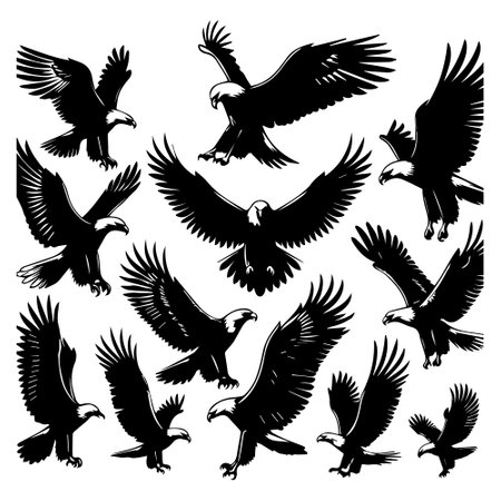 Eagle set. Black and white vector illustration isolated on white background.のイラスト素材