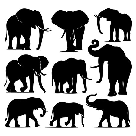Elephants silhouettes set isolated on white background. Vector illustrationのイラスト素材