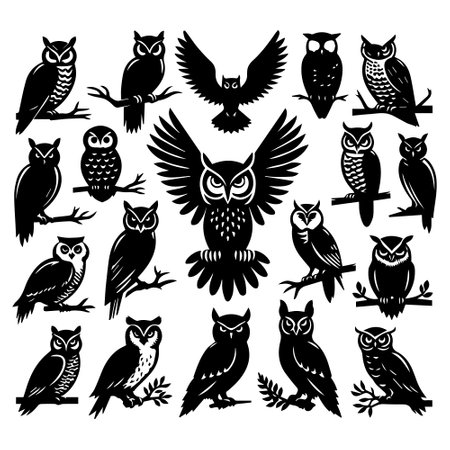 Set of black and white owls on white background. Vector illustration.のイラスト素材