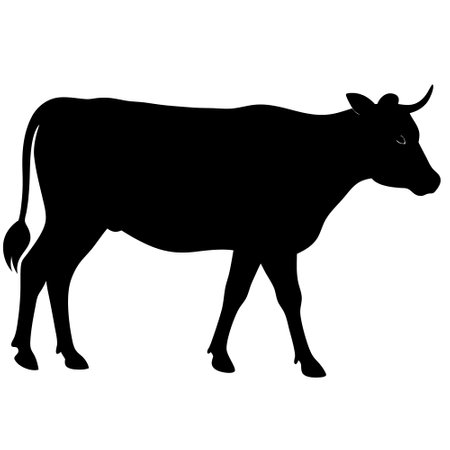 Cow silhouette on a white background. Vector illustration of a cow.のイラスト素材