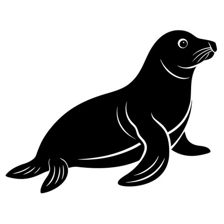 Vector image of a seal on a white background. Sea animal.のイラスト素材