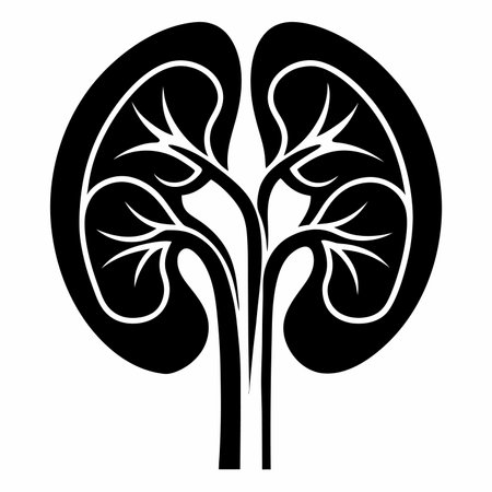 Human kidney icon. Simple illustration of human kidney vector icon for webのイラスト素材