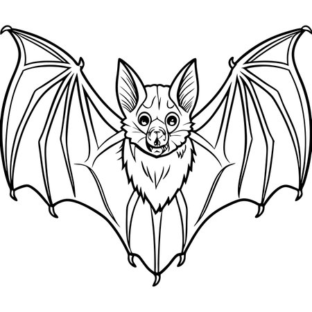 Bat - black and white vector illustration for coloring book or page.のイラスト素材