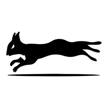 Squirrel black silhouette on white background. Vector illustration of animal.のイラスト素材