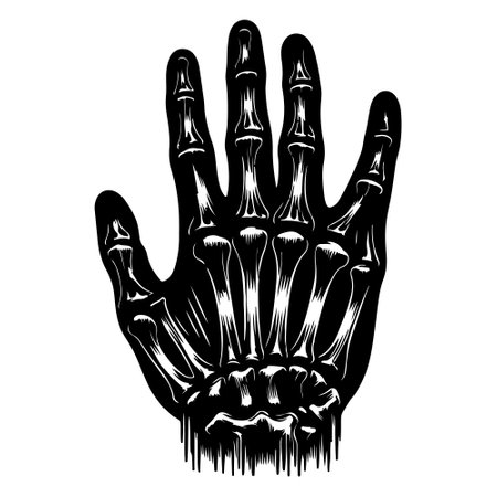 Vector illustration of hand. Black and white engraved ink art. Isolated hand on white background.のイラスト素材
