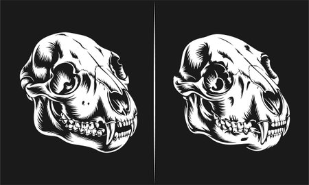 A striking tattoo design featuring a detailed animal skull with fangs, perfect for dark and edgy t-shirt designs. This black and white artwork captures the raw beauty of the skull, making it ideal for lovers of gothic, animal, and alternative tattoos. A bold design for fashion enthusiasts.のイラスト素材