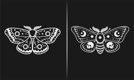 Two unique moth tattoo designs featuring intricate details, with one showcasing stars and the other incorporating moons and skulls. Perfect for stylish t-shirt designs, these black and white artworks offer an edgy, gothic look for fashion enthusiasts. Ideal for lovers of moth, moon, and skull tattoos.のイラスト素材