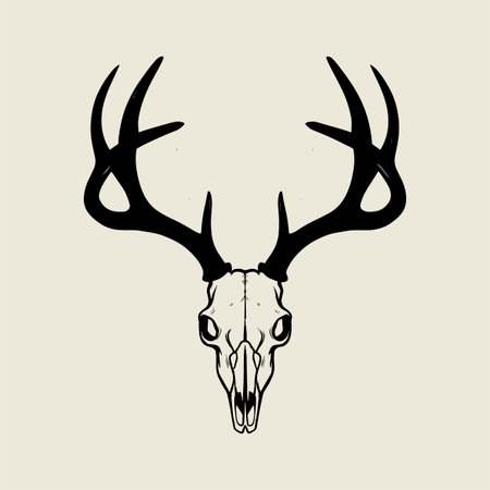Detailed deer skull vector illustration featuring large antlers in vintage gothic style. Perfect for tattoo art, t shirt prints, and rustic wildlife themed designs. High quality black line art ideal for creative projects, digital artwork, and nature inspired decorative graphics.のイラスト素材