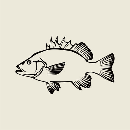 Stylish bass fish vector illustration in bold black and white line art design. Perfect for fishing...