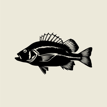 Stylish bass fish vector illustration in bold black and white line art design. Perfect for fishing...