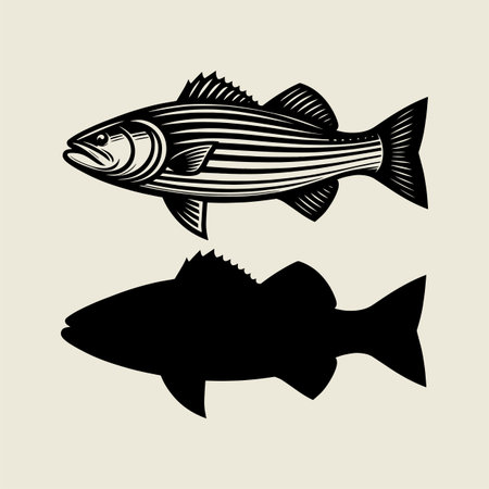 Detailed catfish vector illustration in vintage black and white style with bold line art details....