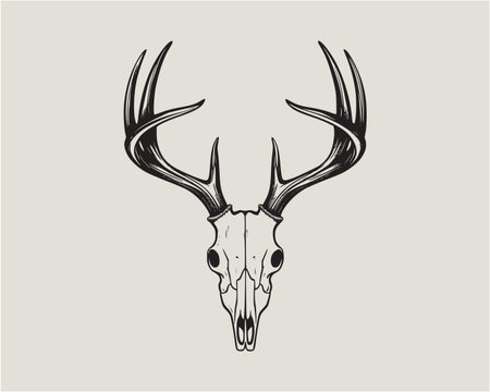 Detailed deer skull vector illustration with large antlers in hand drawn line art style. Perfect for t shirt design, hunting logos, wildlife art, and outdoor themed projects. Bold monochrome drawing ideal for rustic prints, nature graphics, and adventure style designs.のイラスト素材