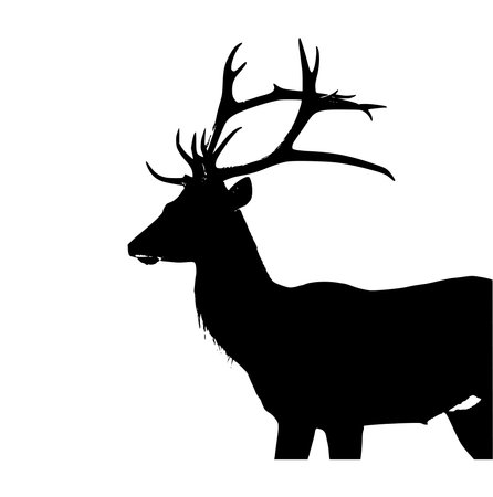 Elegant deer silhouette illustration featuring a majestic stag with detailed antlers in bold black and white style. Perfect for t shirt prints, wildlife logos, nature artwork, and forest themed designs. Ideal for creative projects inspired by animals, wilderness, and outdoor beauty.のイラスト素材