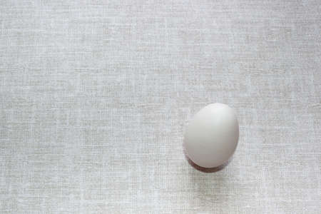 white chicken egg on textile rustic gray background. Design for poultry industry, production of eco bio natural food. Free space for text. minimalistic top view. design for banners, cards.の写真素材