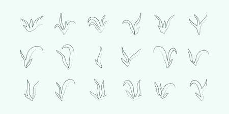 set of lineart seaweed algae aquatic water plant grass for aquarium. isolated on white vector hand drawn illustration in doodle styleのイラスト素材