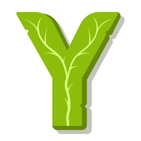 Letter Y, green leaves summer vector alphabet. The simple  of letter Y green color. Isolated illustration on white background.のイラスト素材