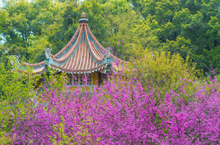 Spring Botanical Garden landscape viewのeditorial素材