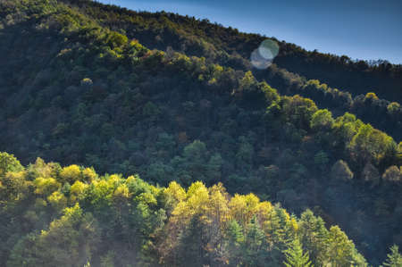 Shennongjia scenic area in early autumn.
