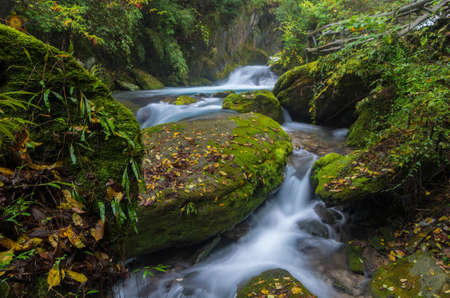 Shennongjia Xiangxi water falls in early autumnの写真素材